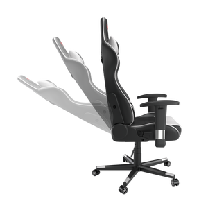 EPIC Racing Ergonomic Gaming Chair ER-100, White